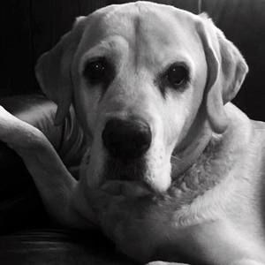 Meet your Posher, Danna